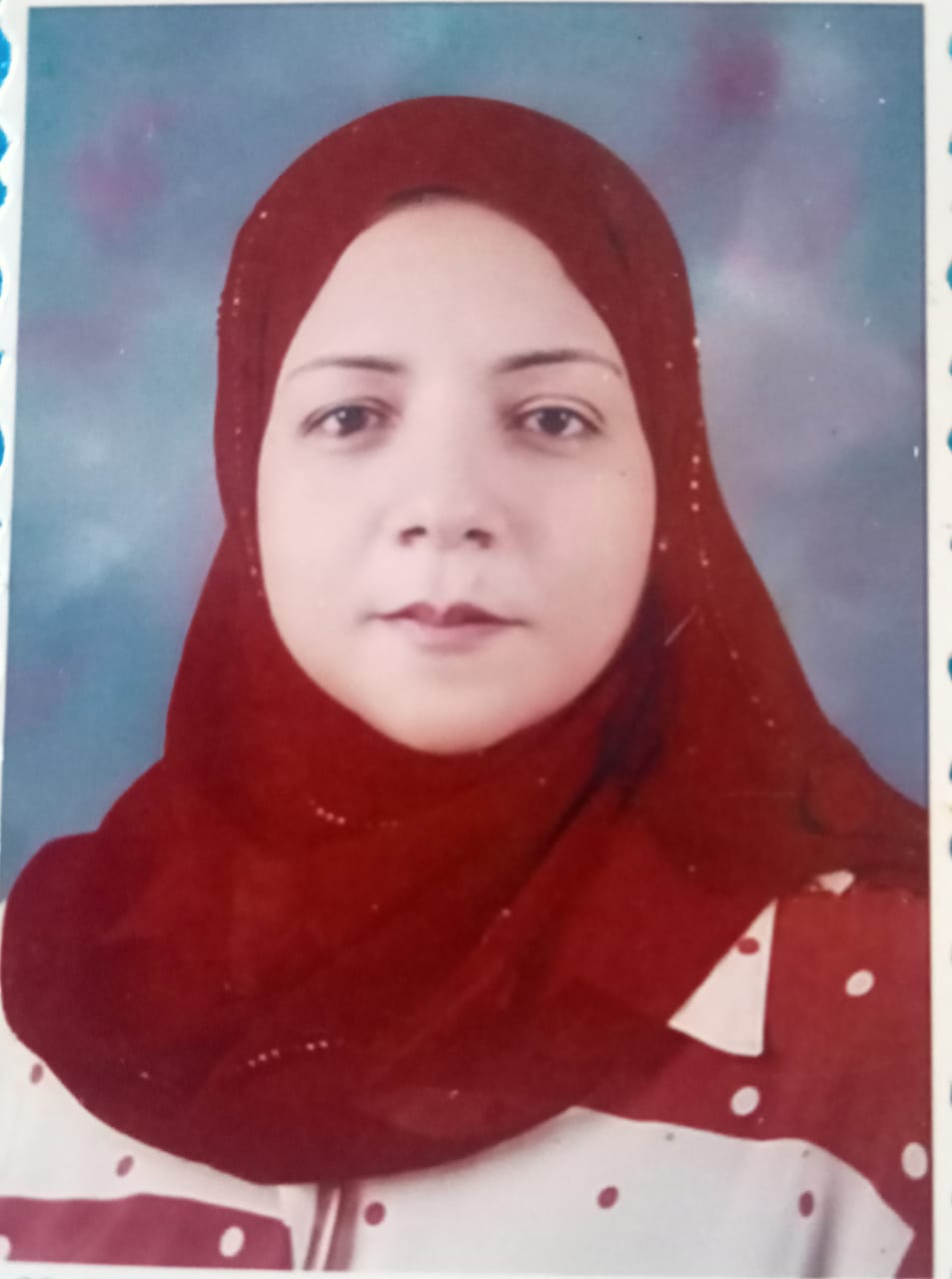 A professional portrait photo of Safaa Labib.